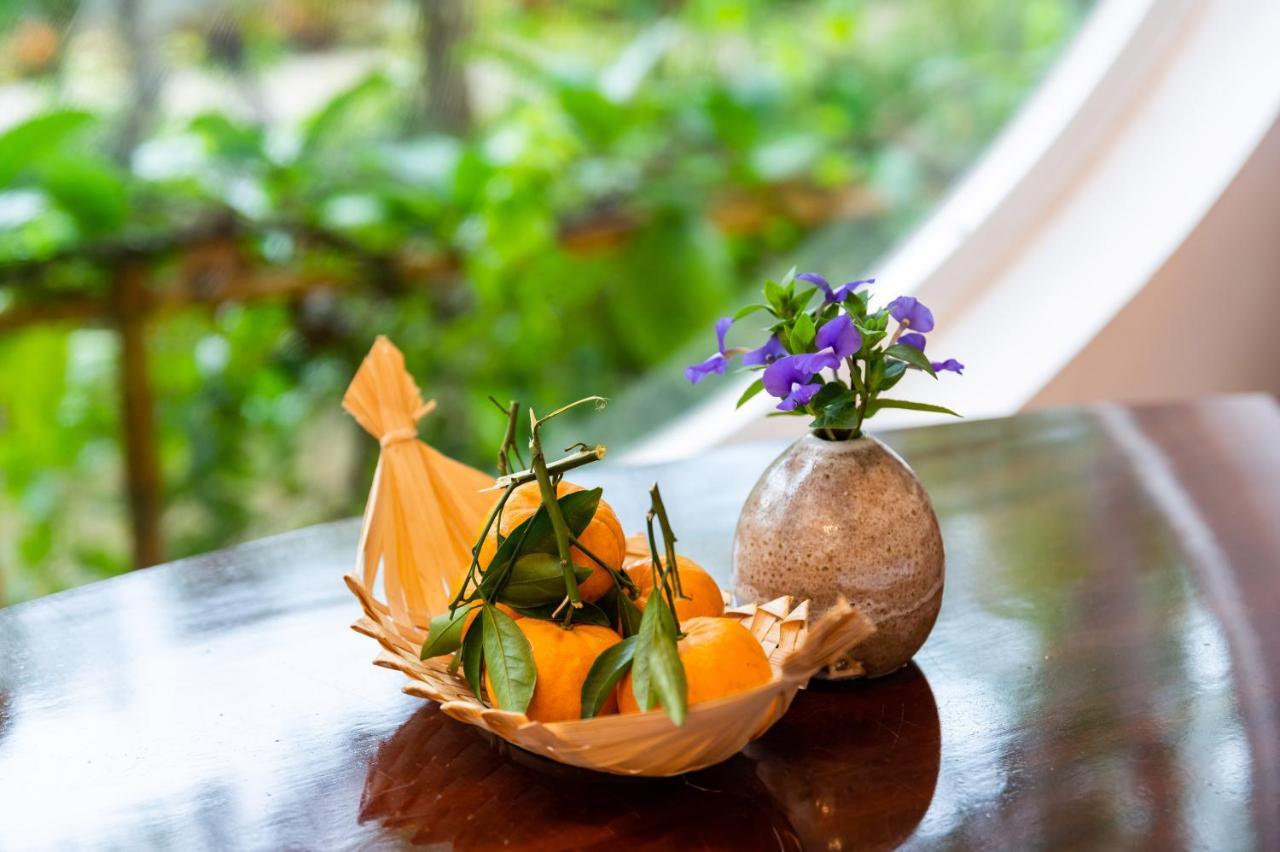 Binh Minh Eco Lodge Cần Thơ Exterior foto